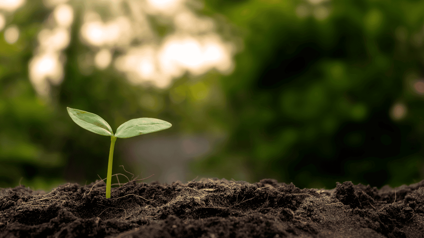 Hartika J Counselling psychologist